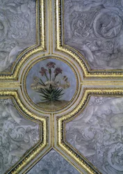 Florale Deckendekoration, aus dem 